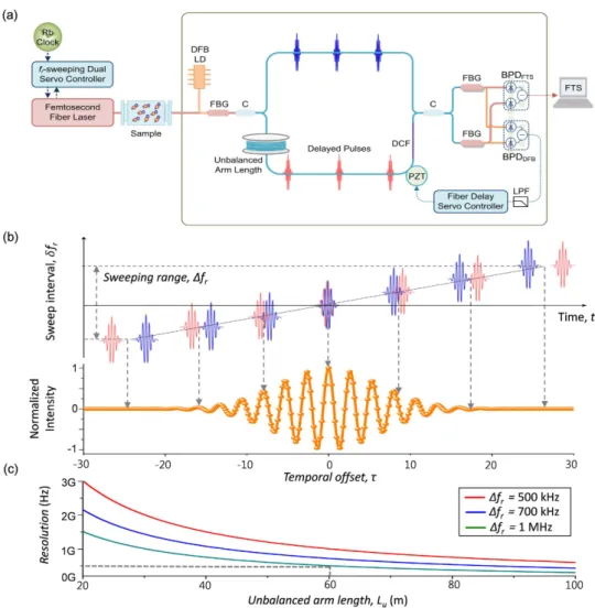 Figure 1. (a) The unbalanced-arm fiber interferometer for FT spectroscopy by f r -sweeping; f r : pulse 