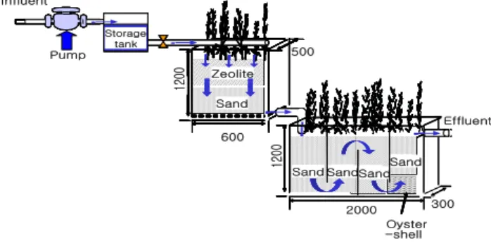 Fig.  1.    Schematic  diagram  of  experimental  apparatus