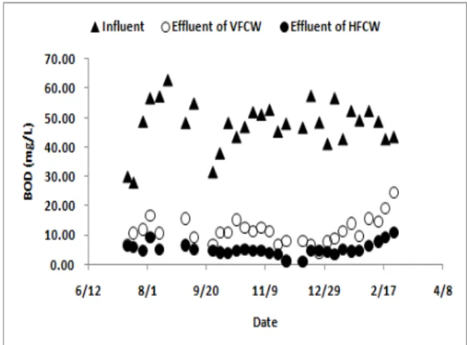 Fig.  5.  Variations  of  BOD  in  VFCW  and  HFCW