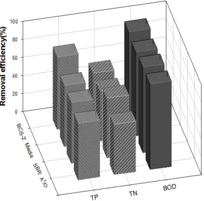 Fig.  7.  Comparison  of  BCS-Ⅱ,  A2/O,  SBR  and  media  treatment  efficiency 