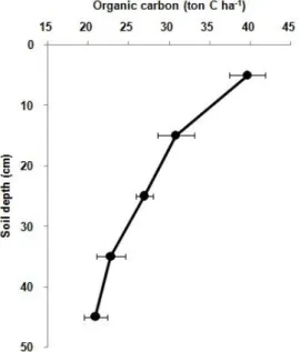 Fig. 3. Seasonal soil respiration of the Quercus mongolica forest in the study area.