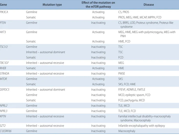 Table 1.  Mutations in the mTOR pathway in the neurodevelopmental disorders with epilepsy Gene Mutation type Effect of the mutation on 
