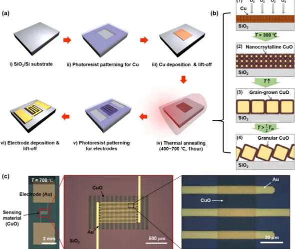 Figure 2.  Demonstration of the CuO nanofilm photodetector. (a) Fabrication process of the CuO 
