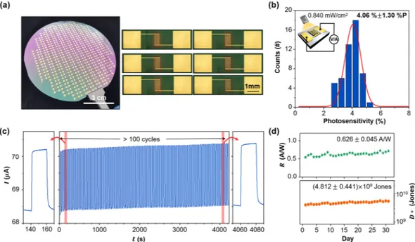 Figure 6.  Large-area (4-inch) uniformity and device reliability of the fabricated CuO photodetector