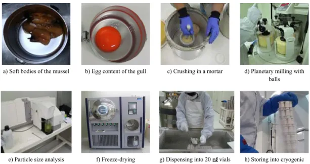 Table 1. The operating conditions of mercury analyzer (MA 3000)