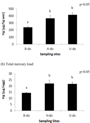 Fig.  3.  Concentrations  and  loads  of  total  mercury  in  black-tailed  gull  eggs  (Statistical  significant  differences were identified by the letters a and b,  nonsignificant by the same letters).