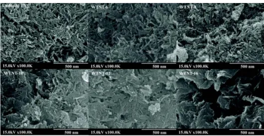 Fig. 4. Transmission electron microscopy images of undoped TNT and WTNT-10. 