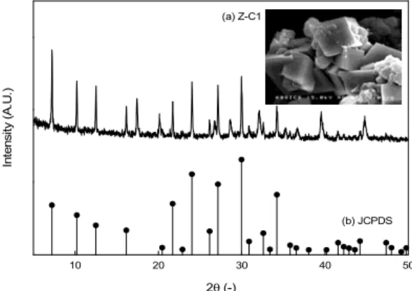 Fig. 1. XRD patterns and a SEM image of Z-C1. 