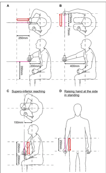 FIGURE 5 | Initial postures of the four upper limb motions. (A) Anteroposterior reaching
