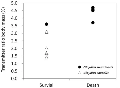 Fig.  2.  Transmitter  ratio  of  body  mass  of  individuals  determined  by  the  survival  results  of  two  species