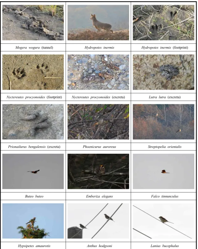 Fig. 5. The status of terrestrial animals and birds in research.
