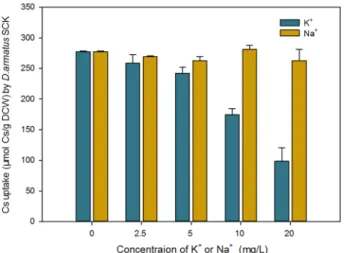 Figure 4.  Effect of K +  and Na +  concentration on Cs +  uptake by D. armatus SCK grown in TAP medium 