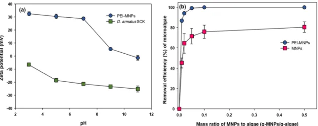 Figure 6. (a) Zeta potentials of PEI-MNPs and D. armatus SCK at different pHs, (b) Recovery efficiency of D