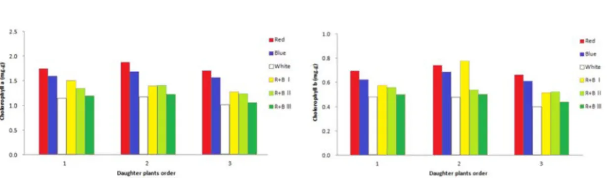 Fig. 4. Total chlorophyll content for each Light type. Fig. 5. Photosynthetic rate for each light type.