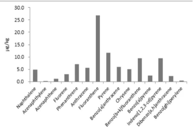 Fig. 8. Distribution patterns of PAHs in the tidal flat  sediment in the study area. 