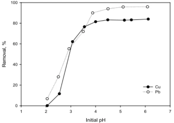 Fig. 2. Effect of initial pH on the adsorption of Cu and Pb  ions by WCAC (Cu ions concentration = 20 mg/L,  Pb  ions  concentration  =  70  mg/L,  adsorbent  =  2.0  g/L, temperature = 303 K)