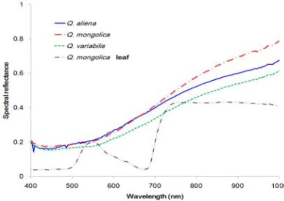 Fig. 2. Relationships between water content(%) and reflectance  WI  of  dry  litters  (Q