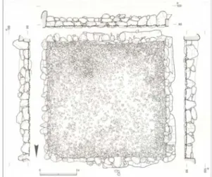Fig. 7. Shimanosho (A part of pond) (NNC, 1998).