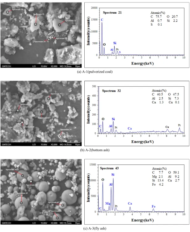 Fig. 1. SEM images and EDX spectra of individual particle by sample.
