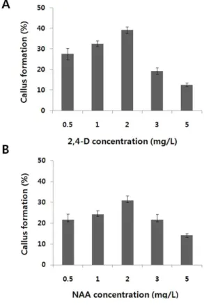 Fig. 1. Effect  of  different  auxins  on  callus  induction  from  mature  seeds  of  bermudagrass (Cynodon  dactylon)
