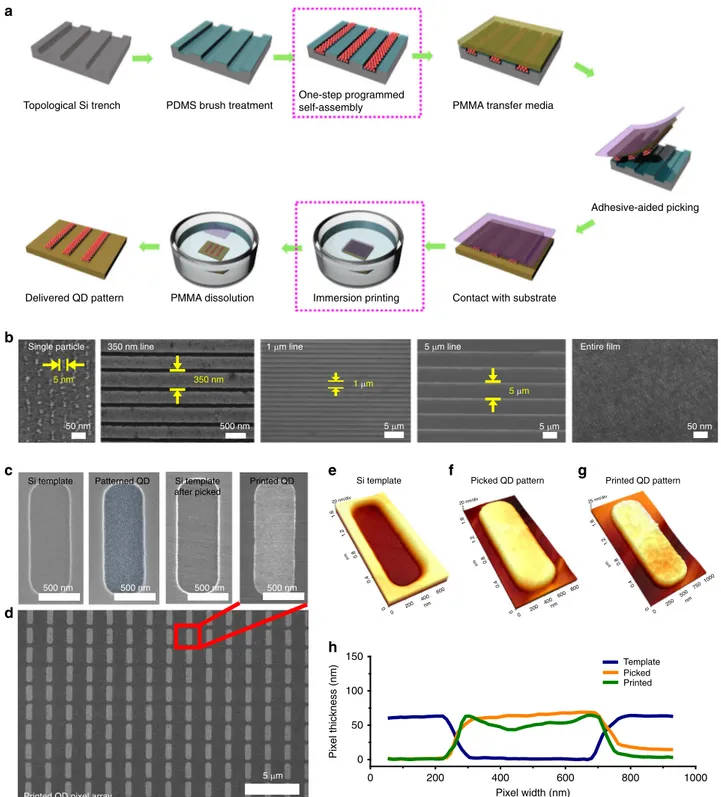 Fig. 1 Patterning and printing of QD ﬁlms using iTP. a Schematic of iTP process. The two key stages of iTP are emphasized with dotted magenta boxes