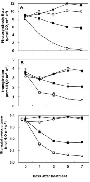 Fig. 3. Changes  in  ammonia (A)  and  proline  (B)  in  the  leaves  of  white  clover  inoculated (AM)  and  not  inoculated  with  G
