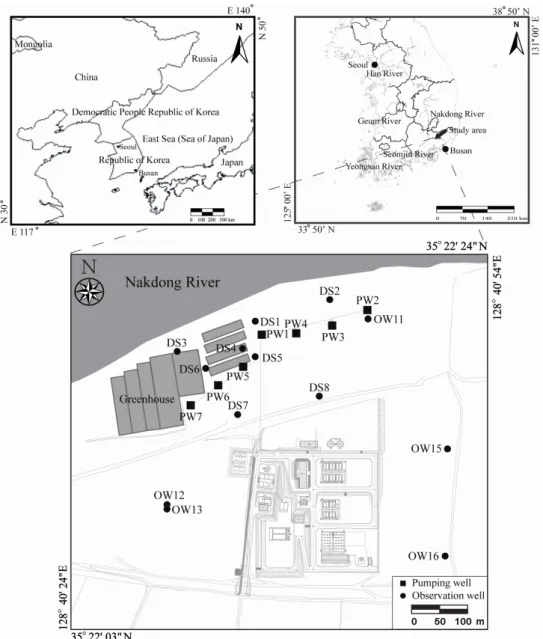 Fig. 1. Location map of the pumping and observation wells in the study area.