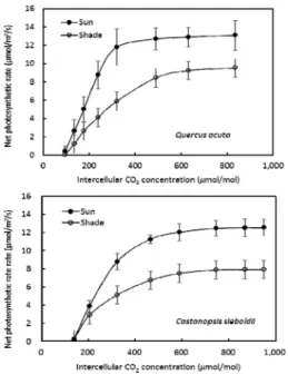 Fig. 1. Light response curves in sun and shade leaves of Q. 