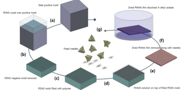 Figure 2. Fabrication process of the MLPs. (a) h-PDMS is poured onto the positive steel mold