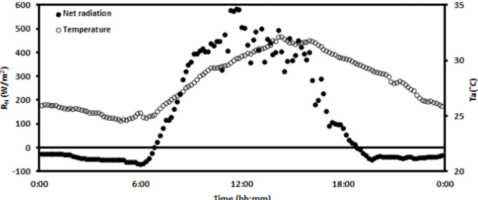 Fig. 8. Diurnal variation of net radiation and air temperature in August.