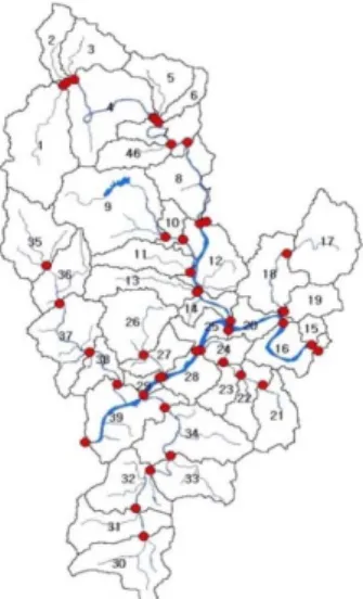 Fig. 1. The 46 sub-watersheds of Sejong City for the HSPF  modeling. 