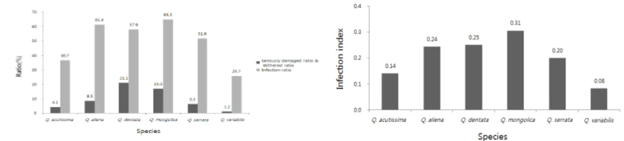 Fig. 9. Relationship graph between species and infection degree.