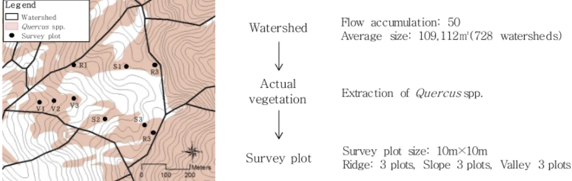 Fig. 2. Method of setting up the survey plots in watershed.