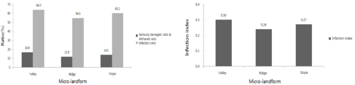 Fig. 8. Relationship graph between micro-topography and infection degree.