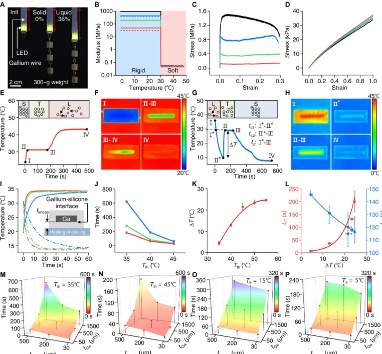 Fig. 2. Thermomechanical studies of the phase transition characteristics of the gallium-based transformative platform