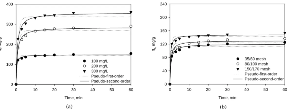 Fig. 5. Effect of (a) concentration and (b) particle size on the adsorption capacity of 2,4-DNP by WAC (adsorbent = 0.1  g/0.2 L, pH = 4, temperature = 293 K)