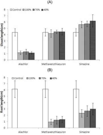 Fig. 3. Effect  of  different  herbicides  and  application  rates  on  shoot  and  root  length (cm)  of  sorghum 