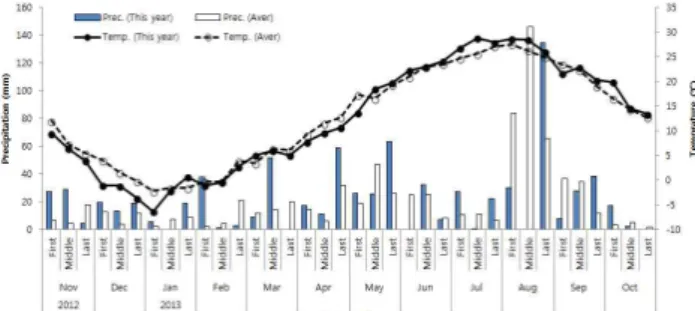 Fig. 1. Air  temperature  and  the  amount  of  precipitation  during  the  growing  season  from  November  2012  to  October  2013.생종 벼,  추계 하파귀리 등 삼모작 재배기술을 확립하고그에 따른 적합한 맥종 선정 및 생산성과 사료가치를 검토하기 위해 실시하였다