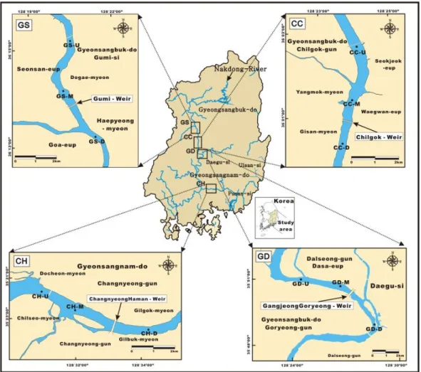 Fig. 1. Map showing sampling site of the study area.     (Fig. 1).  표층  퇴적물  시료  채취시  다항목  수질  측정기 (HORIBA, U-52G)를  사용하여  수질의  수심,  수온,  DO 및 pH를 측정하였다