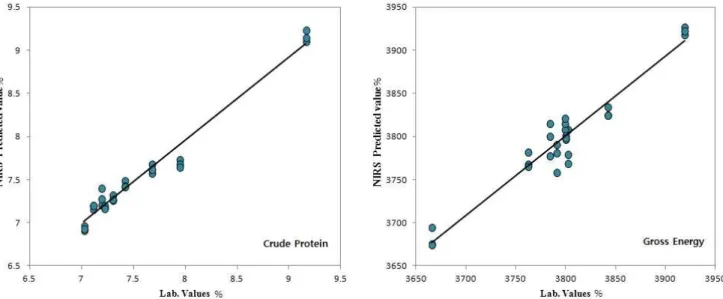 Fig. 1. Relationship  between  lab  values  and  NIR-predicted  crude  protein  (left  figure)  and  gross  energy  (right  figure)  value  of  corn  kernel.