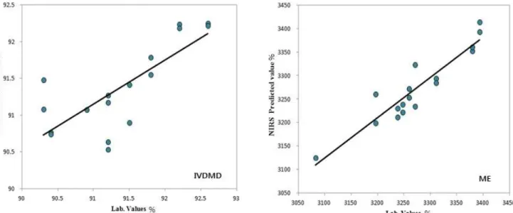 Fig. 2. Relationship  between  lab  values  and  NIRS  predicted  IVDMD  (left  figure)  and  ME  (right  figure)  value  of  corn  kernel.