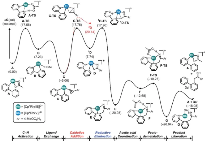 Fig. 2 illustrates the reaction energy prole of a putative C–N coupling mechanism. The initial phase of C–H activation of phenylpyridine is of course identical with what was shown in Fig