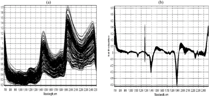 Fig. 1. NIR original spectra as log 1/R (a) and as a first derivative (b) for fresh whole crop winter rye silages.