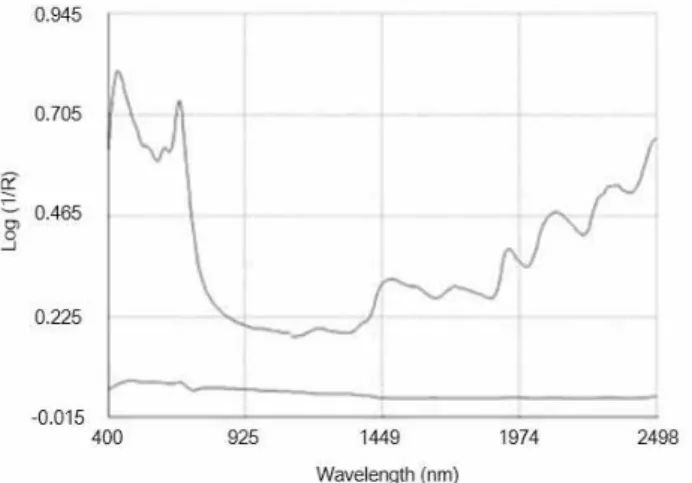 Fig. 1. Average NIR spectrum (upper line) and standard deviation (lower line) of all samples.