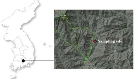 Fig. 1. The location of the sampling site in Jirisan national park.대해서는 측정망의 설치 운영이 미미한 실정이며, 청정지역으로 인식되고 있는 고산, 태안 등의 국가배경 측정소의 경우에도 저지대에 위치하고 있어 해염, 토양, 농경지 등의 영향을 비교적 많이 받고 있는 것으로 추정되고 있다(Kim et al., 2007)