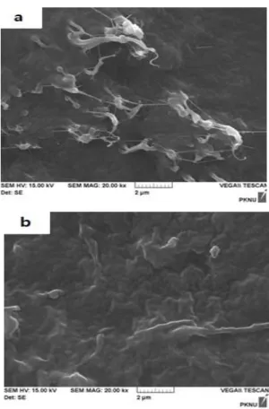 Fig. 2는  Epoxy-MWCNT (a)와 Epoxy-MWCNT  -DEA (b)의 FT-IR 측정 결과를 나타낸 것으로 두 샘 플에서 1450 cm -1 와 2900 cm -1  부근에서 -CH의 신축  피크가 관찰되었으며 C-O-C  결합이 1097 cm -1   부근 에서 관찰되었다