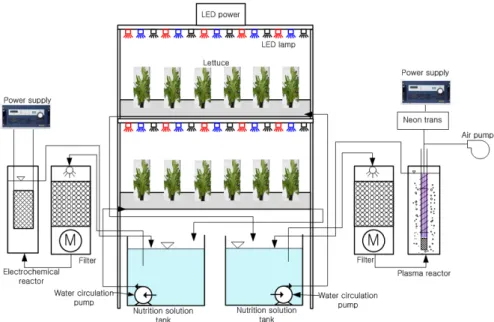 Fig. 1. Schematic diagram of nutriculture system, plasma and electrolysis system. 