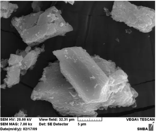 Fig. 2. SEM photo of struvite precipitates (×7000). Nutrients (%) N P Mg K C O Our experiments 14.8 15.6 10.2 2.0 26.0 31.4 Nelson et al