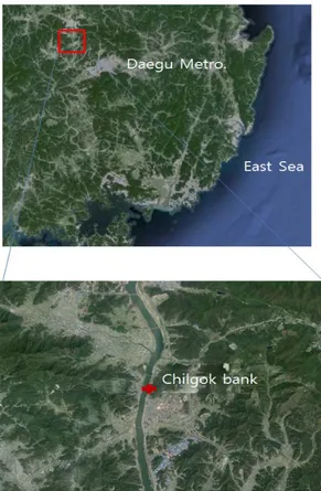 Fig. 1. Satellite image of Chilgok barrage and its topography. 