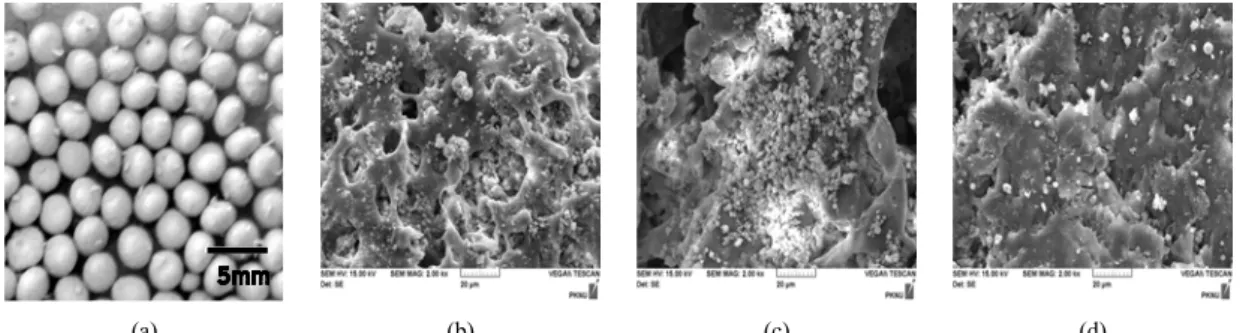 Fig. 2. FT-IR patterns of (a) FZ, (b) PS, and (c) PS-FZ.